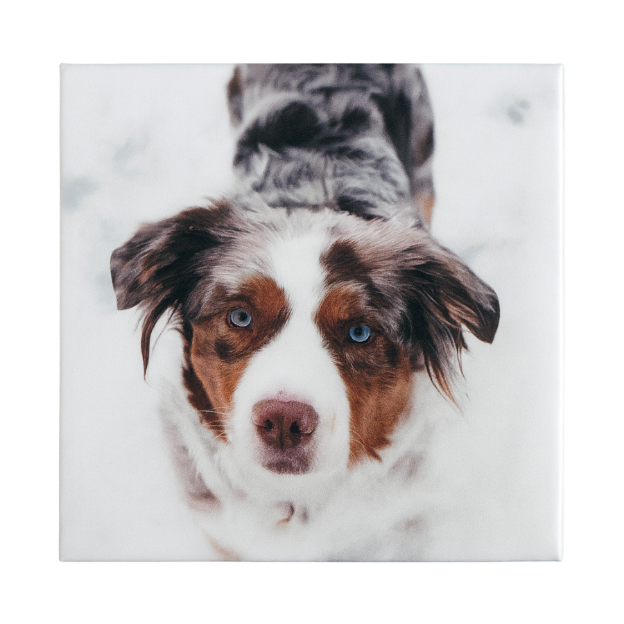 Custom Photo Magnets (2x2 or 2x3)