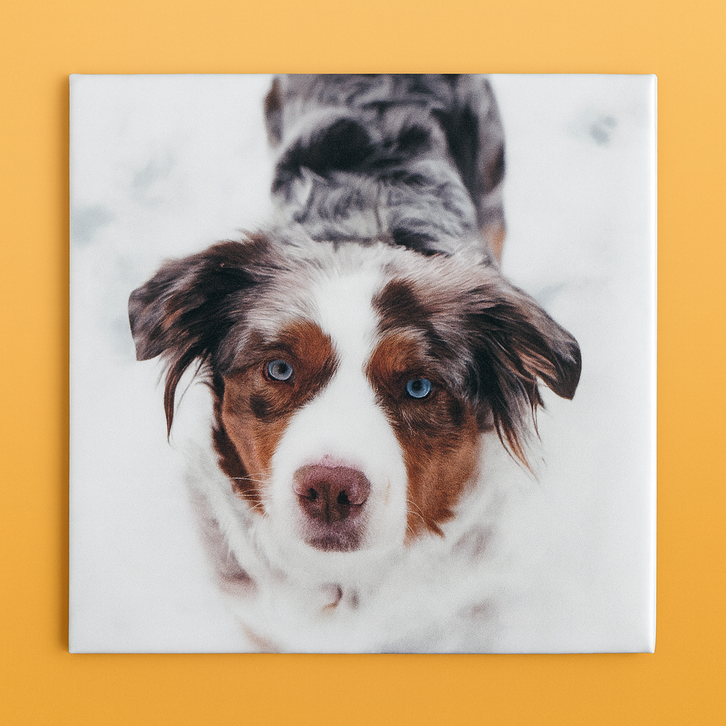 2x2 Custom Photo Magnet