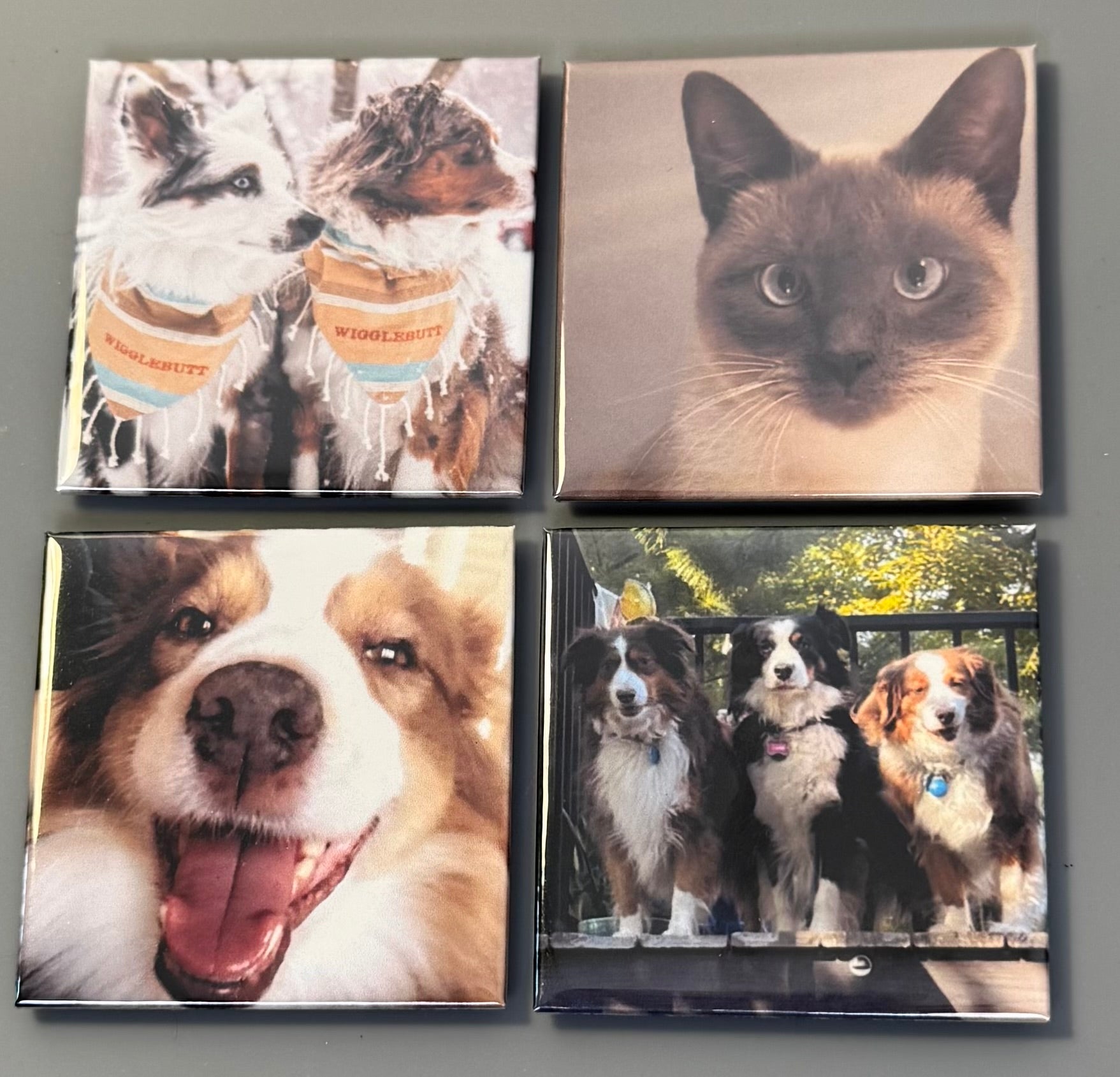 2x2 Custom Photo Magnets (Set of 4)