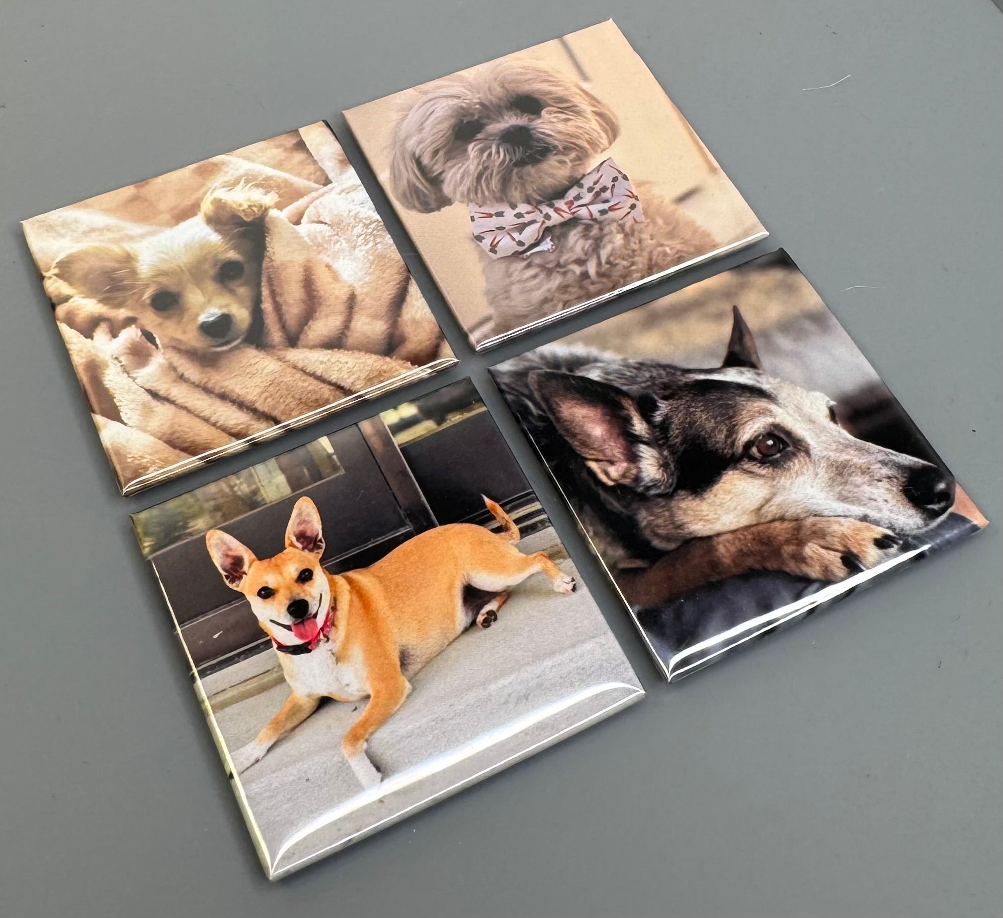 2x2 Custom Photo Magnets (Set of 4)