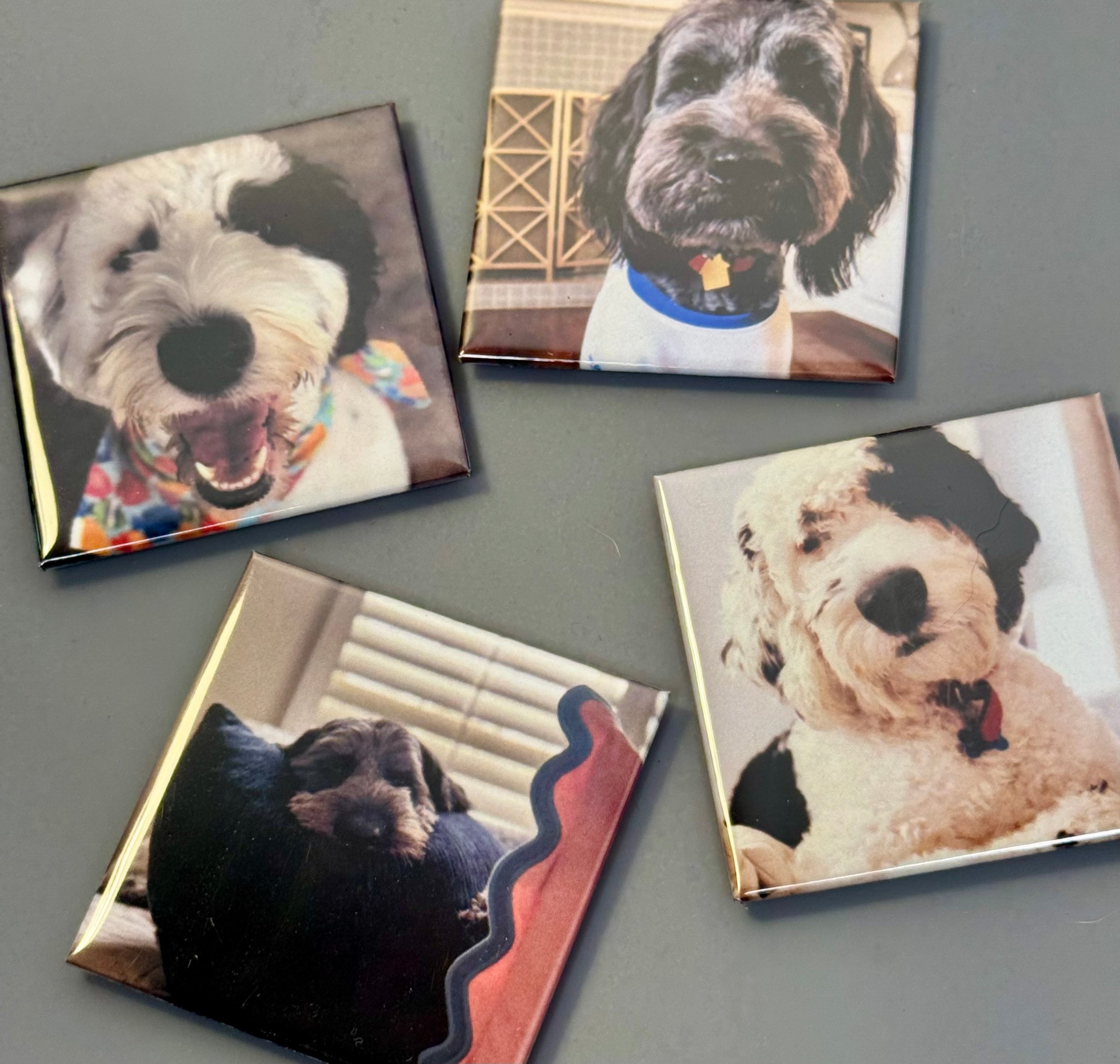 2x2 Custom Photo Magnets (Set of 4)